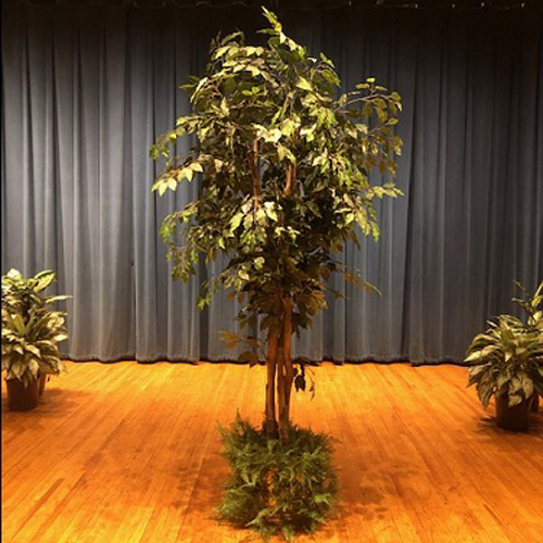 One-of-a-Kind Ficus Tree 7' - Artificial Trees/Floor Plants - artificial ficus trees for rent or own